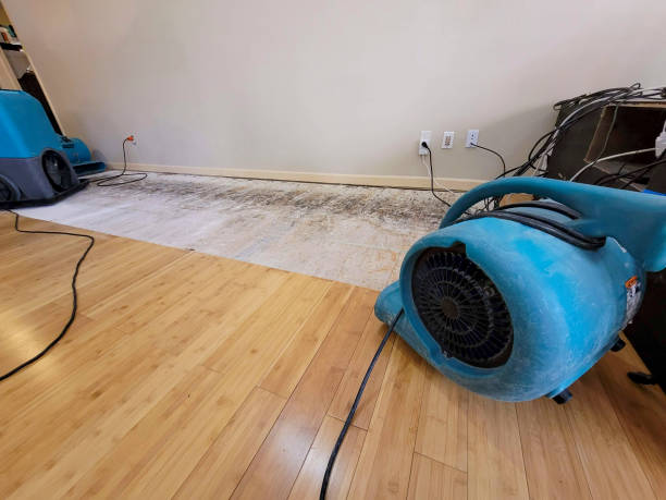 Professional Structural Drying technician working in Waterville Valley, NH
